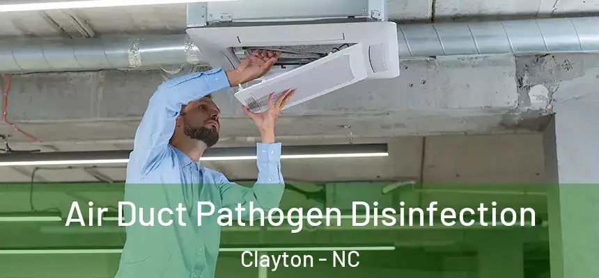  Air Duct Pathogen Disinfection Clayton - NC
