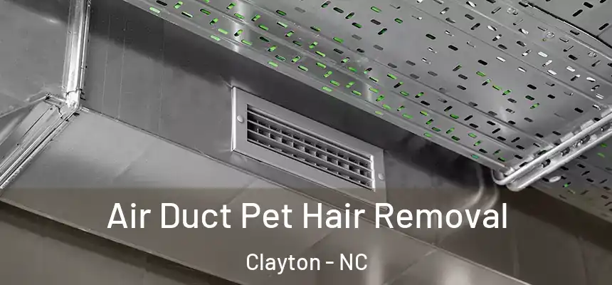  Air Duct Pet Hair Removal Clayton - NC