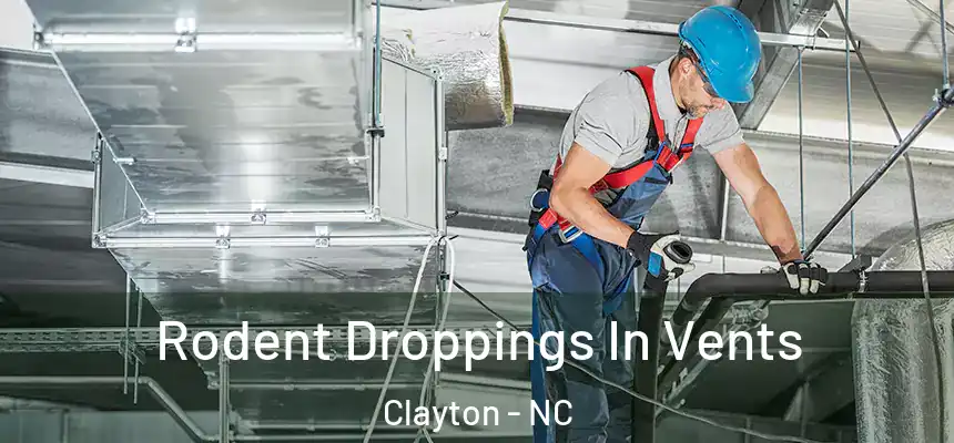  Rodent Droppings In Vents Clayton - NC