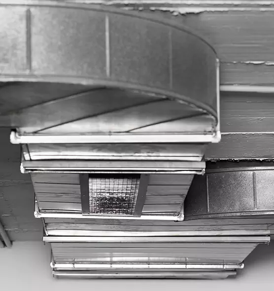 Professional Air Duct Pest Removal in Clayton, NC