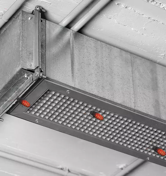 Affordable Insect Removal from Air Ducts in Clayton, NC