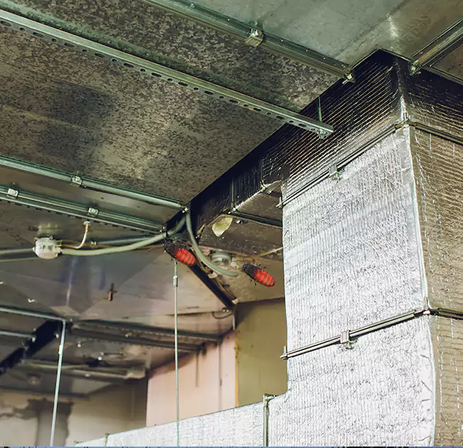 Why Homeowners & Businesses Trust Us in Clayton, NC?