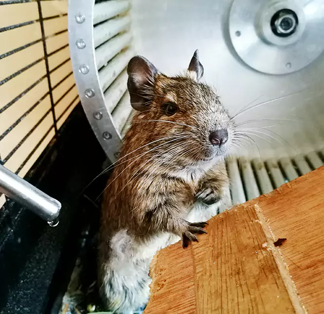 Why Homeowners & Businesses Trust Us Clayton, NC?