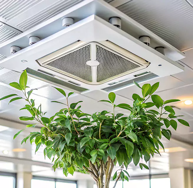 Why Homeowners & Businesses Trust Us in Clayton, NC